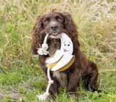 Great gifts for the dog parents in your life. 
