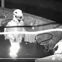 Video: Doncaster shop's CCTV plea after theft of honesty box