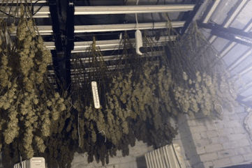 A drugs set up was found
