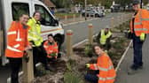 The rain gardens have been created on Clay Lane.