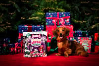 Denzel's Christmas Advent Calendar for Dogs