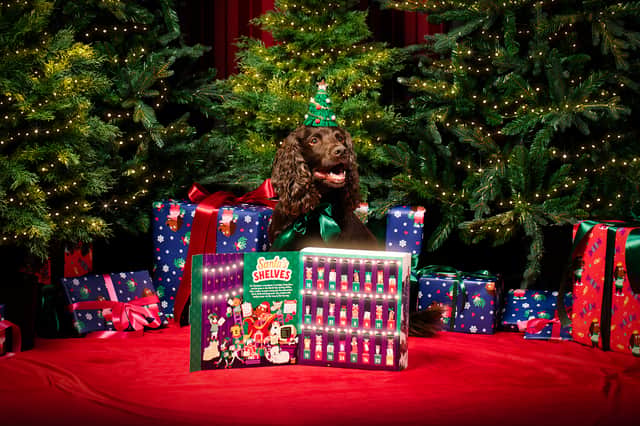 Denzel's Christmas Advent Calendar for Dogs