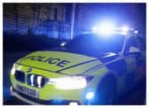 Emergency services were called to Hyde Park