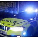 Emergency services were called to Hyde Park