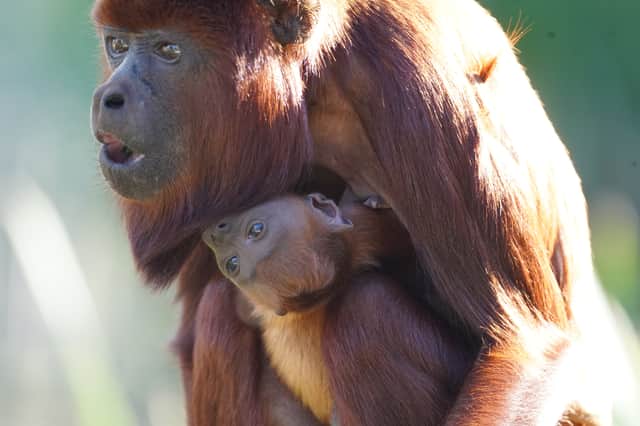 The youngster was born on September 12 to parents Tila and Geronimo