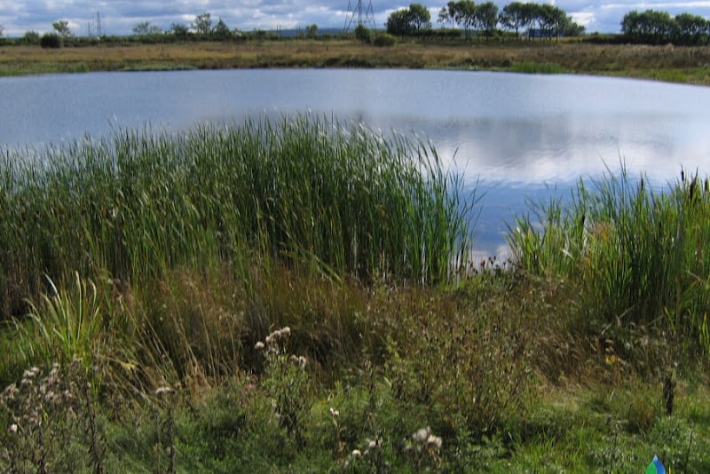 Improvement works to take place on waterways across Doncaster