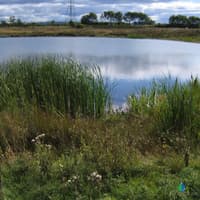 Improvement works to take place on waterways across Doncaster