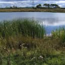 Improvement works are to be carried out on a number of waterways and ponds in Doncaster.