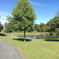 Storm Austen: Weather forces cancellation of park's Halloween event