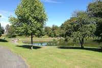 The event was due to take place at Sandall Park.