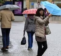 Storm Boelo: Trees down across Doncaster as wind wreaks havoc