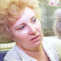 National Cat Day: 11 retro photos of Doncaster cats from decades past