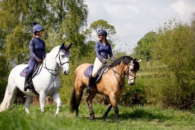 Horses often fear fireworks.