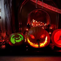 Halloween 2026: Doncaster people show off their spooky decorations and carved pumpkins