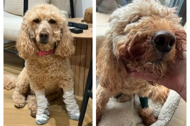 Bonnie suffered injuries in the crash in Rossington in September.