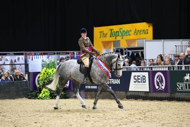 Robyn Carr and Admiral Augustus take the SEIB Search for a Star title at HOYS