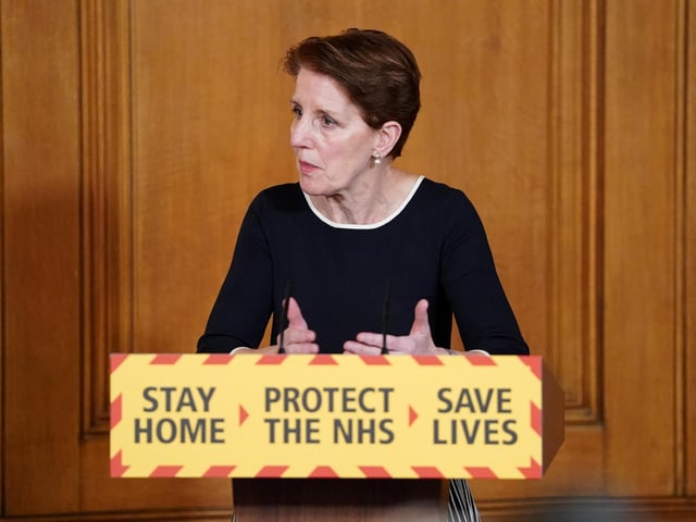 Medical Director at Public Health England Professor Yvonne Doyle speaking during a media briefing in Downing Street, London, on coronavirus (COVID-19). Photo: PA