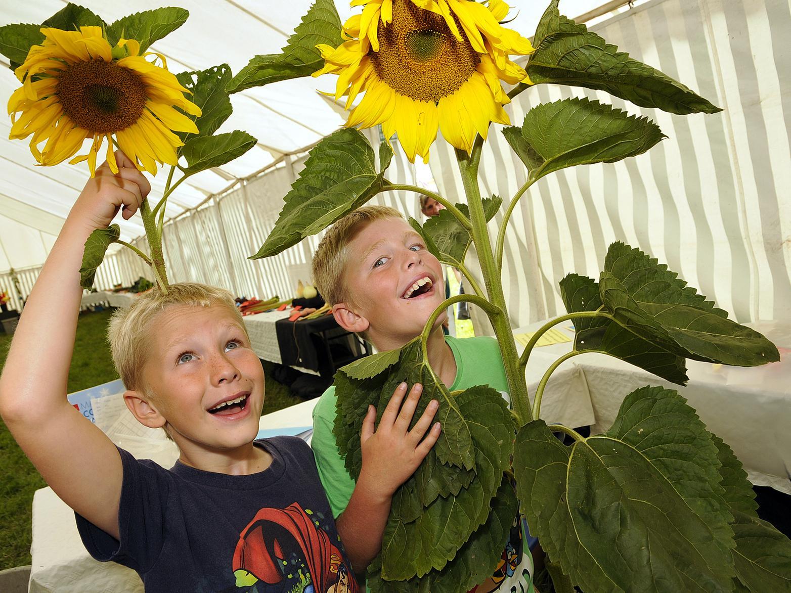 Sunflower winners Benjamin and Joseph Pell in 2015