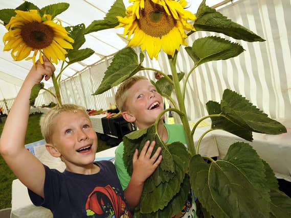 Sunflower winners Benjamin and Joseph Pell in 2015