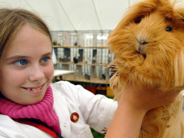 Lucy Debenham viewing a guinea pig.