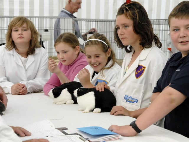 Youngsters helping out in the fur and feather tent.