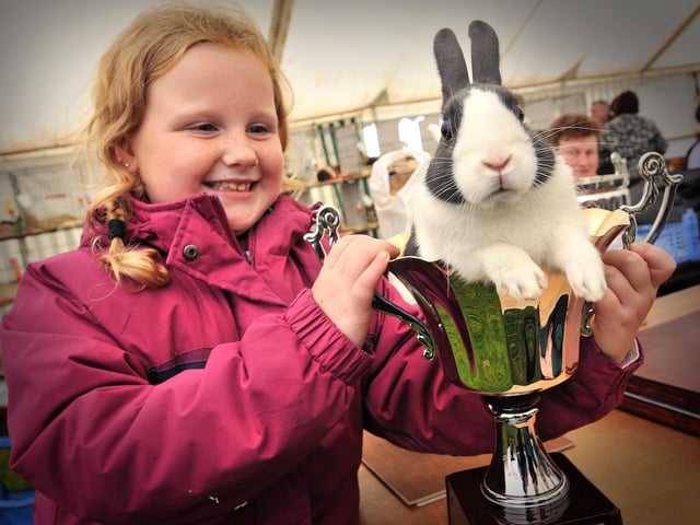 Champion bunny, Lucy Jo Dodgson with Bluebuzz.
