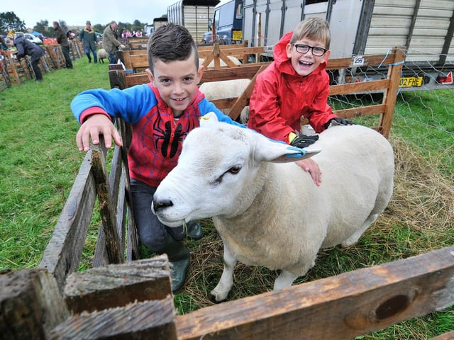 Connor Gaines and Harry Gilson-Philips with Tubby the sheep.