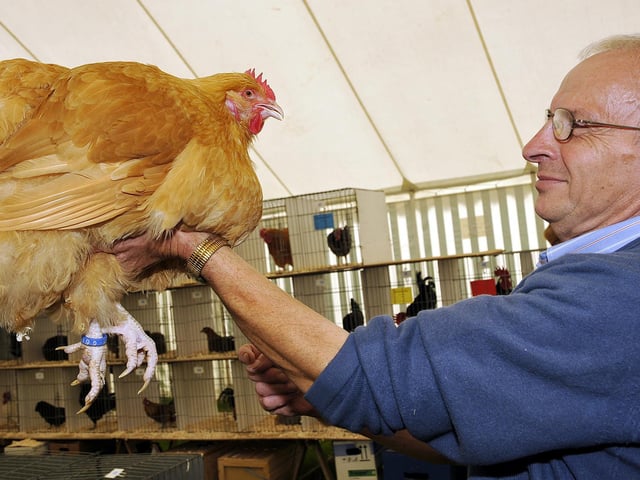 Keith Smithson with a prize hen.