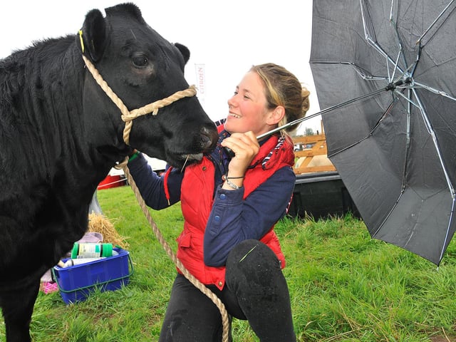 Megan McNiven with Kim the Cow.