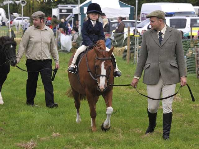 Young riders in the show ring.