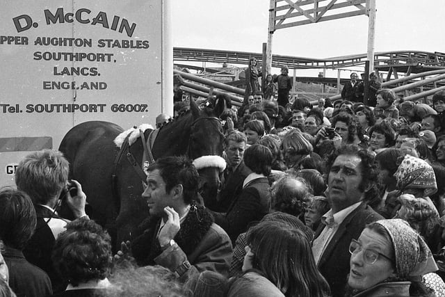 Red Rum left his mark on Blackpool's newest and most spectacular Pleasure Beach ride. Thousands of people crowded around the "Steeplechase" as Rummy inspected the 500 yard long course. Pleasure Beach officials had hoped that the horse would leave his hoof print in a concrete slab as a memento of his visit - but the noise from nearby rides scared the horse and the ceremony was abandoned