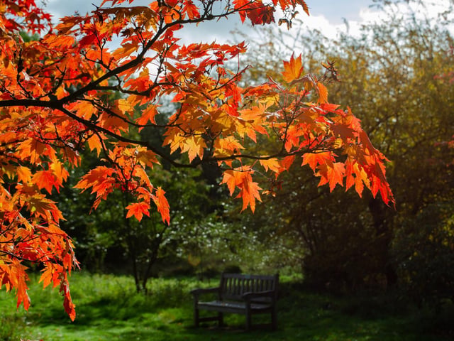 Relax and take in the changing colours