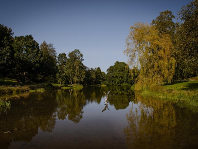Take time to sit back and reflect