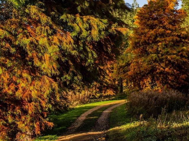 Explore the stunning pathways