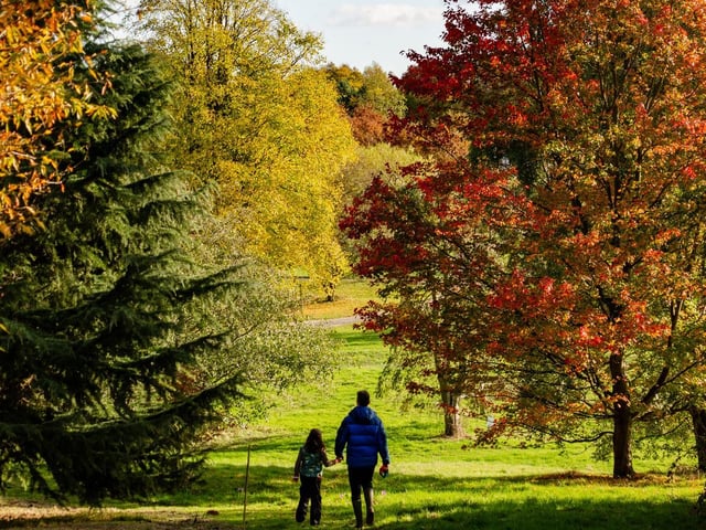 Wrap up warm and enjoy this magical season