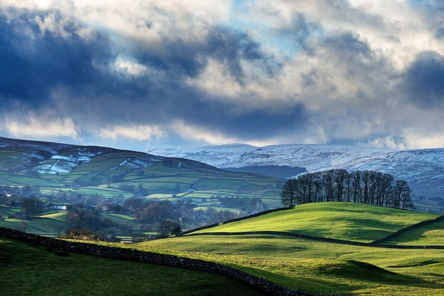 A coppice of trees atop a hillock in Wensleydale above Hawes is lit by the late winter sun.