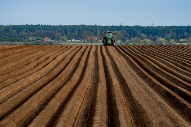 As the sun starts to set over the Vale of York a farmer driving a tractor slowly makes his way along the ploughed potato furrows in a field near Murton, York.
