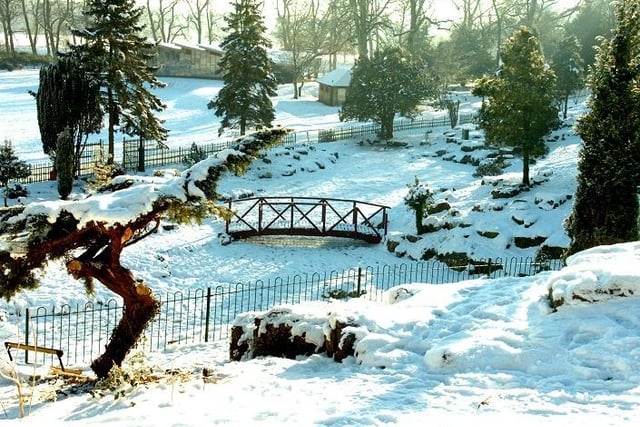 A winter wonderland in Avenham and Miller Park