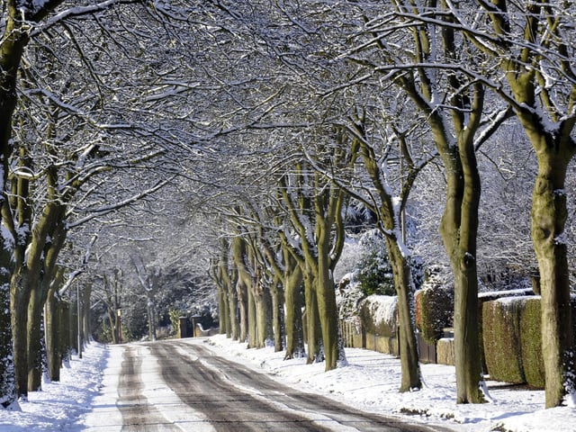 Snowy scene in Deepdale Avenue, Weaponness, 100781d.