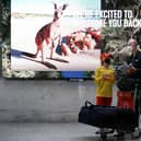 WELCOME: Australia has re-opened its borders to fully-vaccinated passengers. Photo: Getty Images
