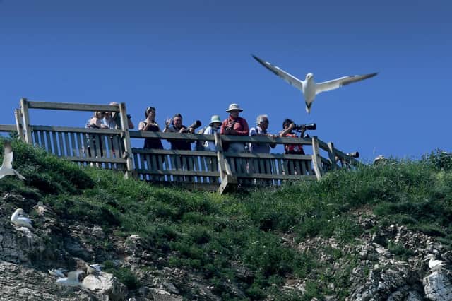 RSPB Bempton Cliffs are between Bridlington and Scarborough off the A165