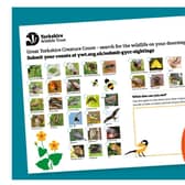 From noon  Saturday  June 18 until noon Sunday June 19, Yorkshire Wildlife Trust is asking Yorkshire folk to spot, count and record the creatures in their outdoor spaces