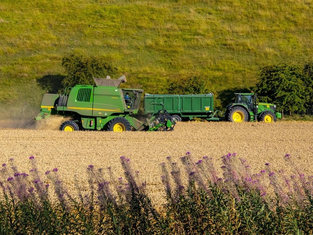 Farmers pass fireweed as they take advantage of the long hot dry weather to harvest the wheat in fields close to Thixendale in the Yorkshire Wolds.