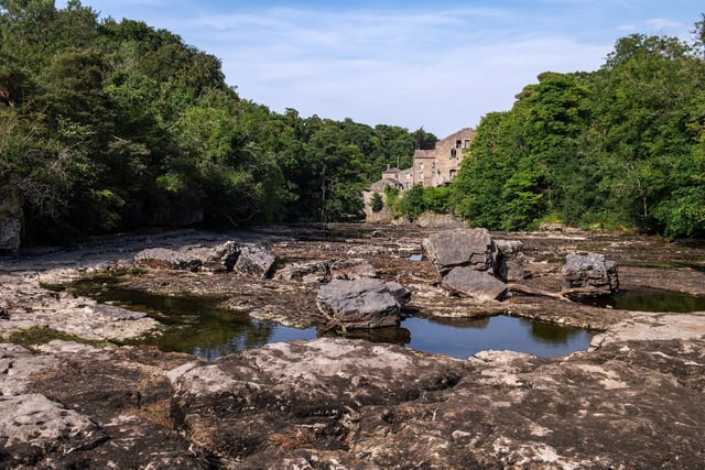 The water has stopped flowing at Aysgarth Falls in Wensleydale due to the prolonged spell of hot dry weather this summer