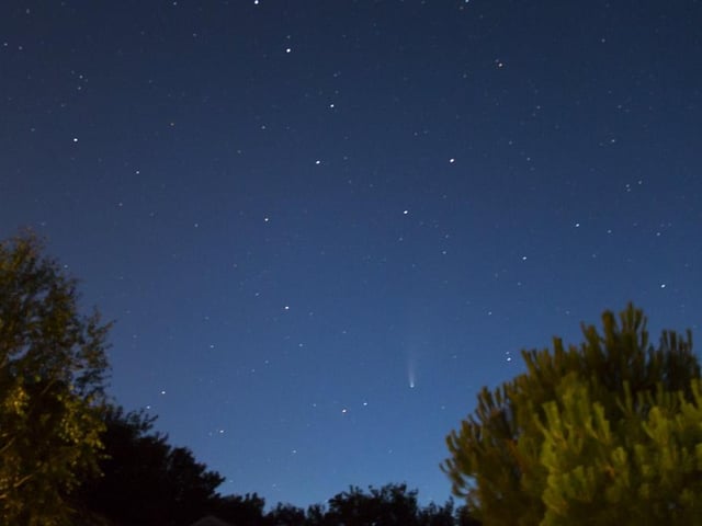 Lesley Swan took this photo in Mid Lavant