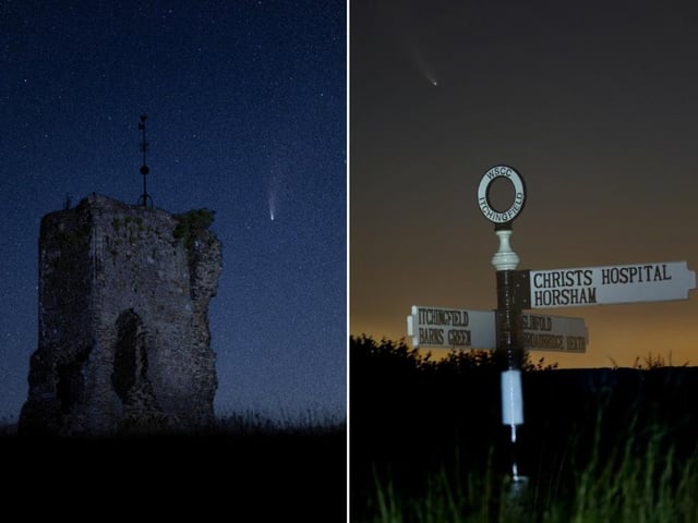 David Oldham took these photos at Knepp Castle and in Itchingfield
