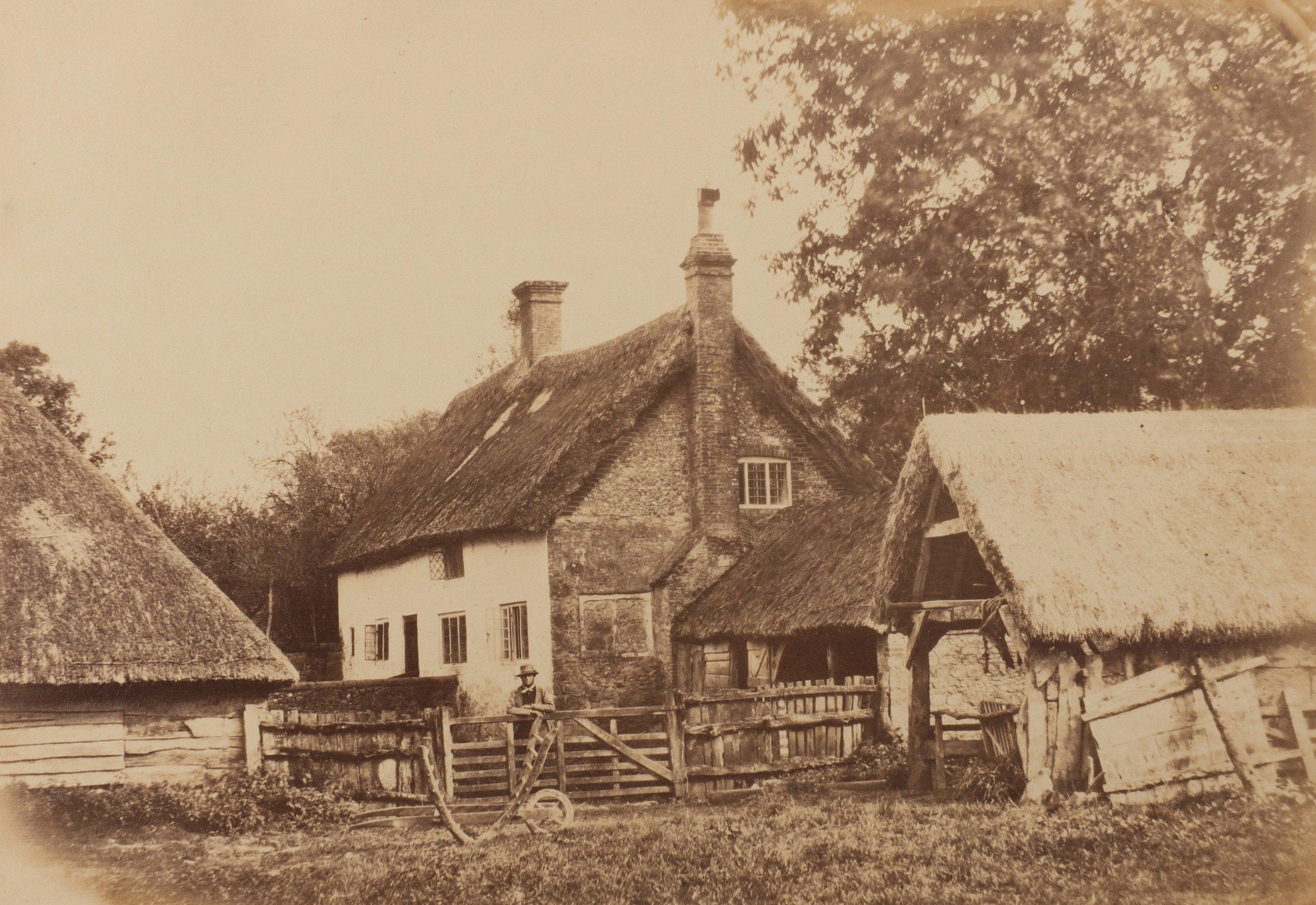 The first known photographs of West Sussex, taken by Captain Thomas Honywood, inventor of the photographic technique known as nature printing