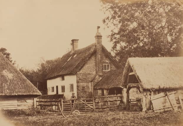 The first known photographs of West Sussex, taken by Captain Thomas Honywood, inventor of the photographic technique known as nature printing