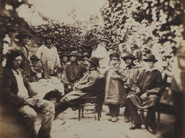 The first known photographs of West Sussex, taken by Captain Thomas Honywood, inventor of the photographic technique known as nature printing
