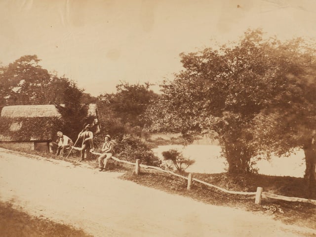 The first known photographs of West Sussex, taken by Captain Thomas Honywood, inventor of the photographic technique known as nature printing